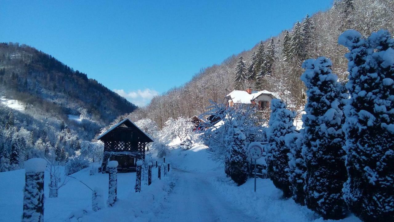 Вилла Turisticna Kmetija Weiss Miklavz pri Taboru Экстерьер фото